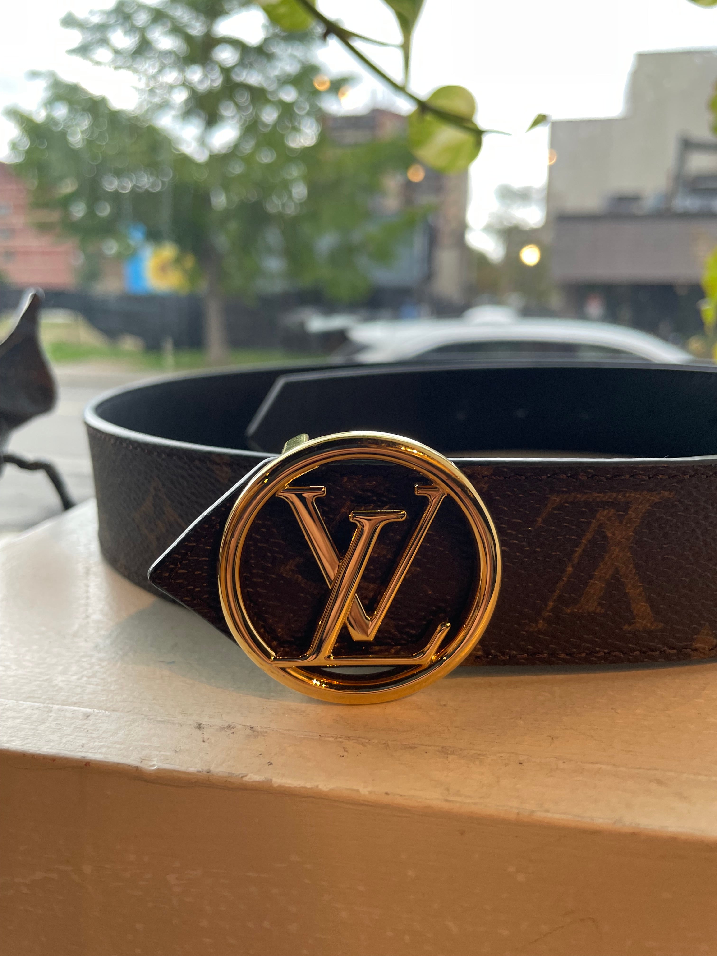 Louis Vuitton Reversible Logo Belt