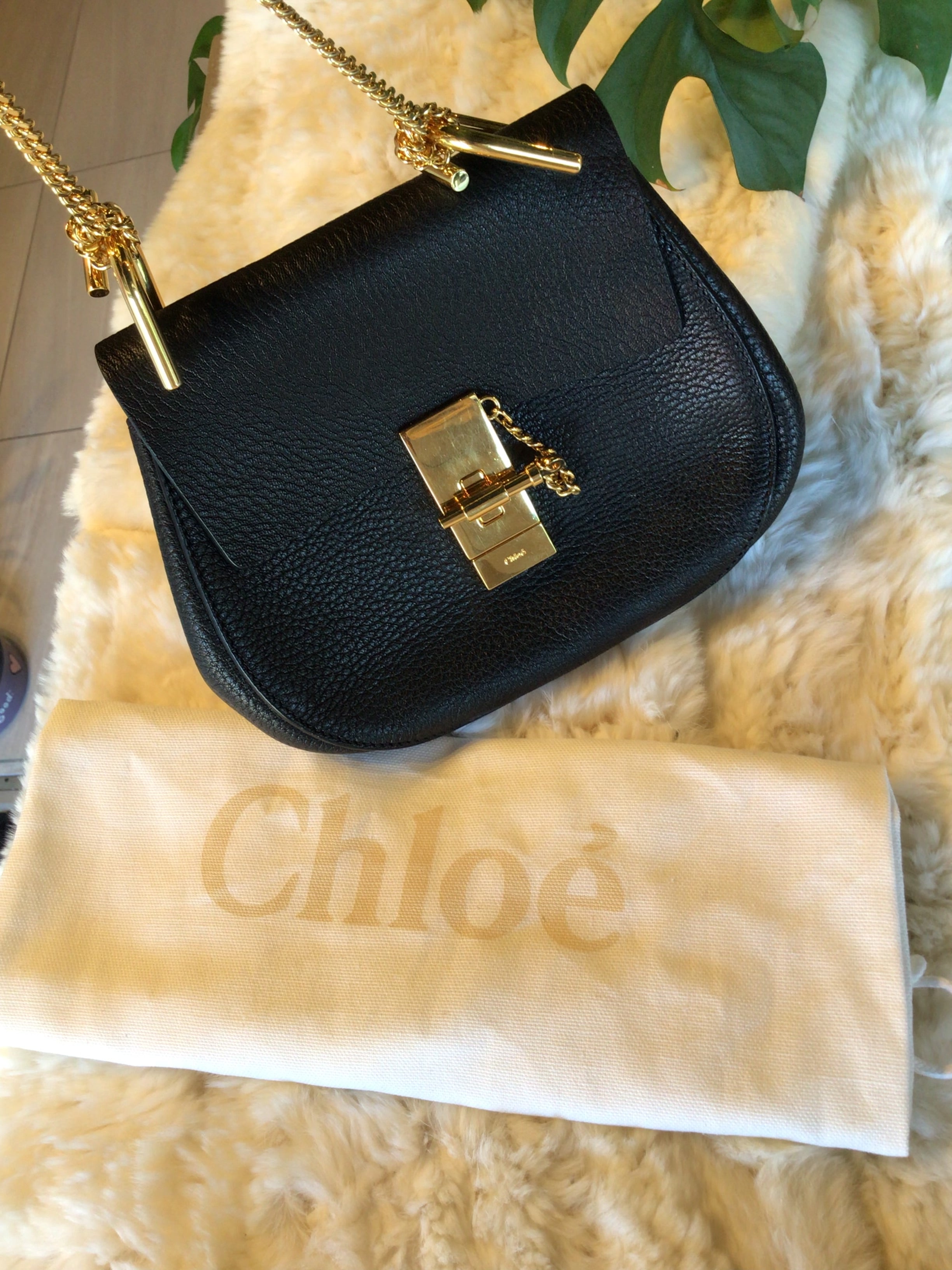Chloe Drew Black Leather Purse